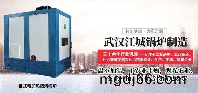 湖北燃油(you)蒸(zheng)汽(qi)鍋(guo)鑪